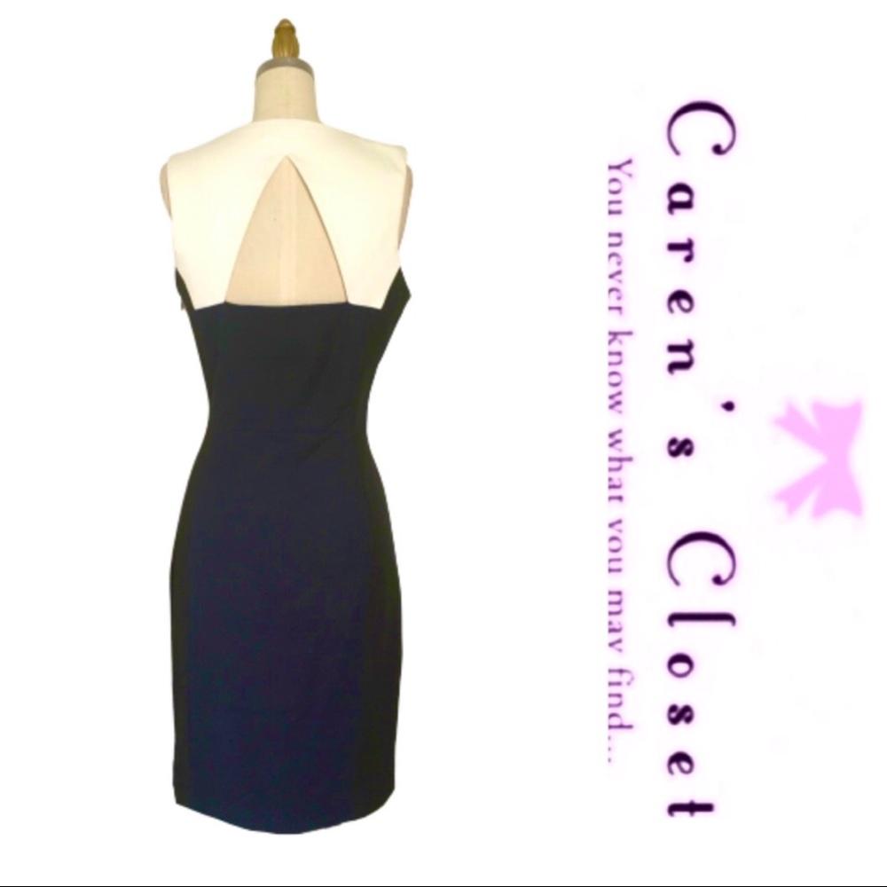 Banana Republic Color Block Sleeveless Dress - Picture 6 of 7